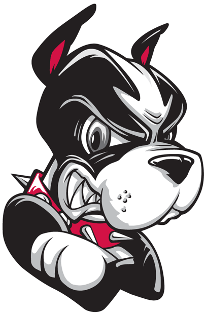 Boston University Terriers 2005-Pres Partial Logo heat sticker